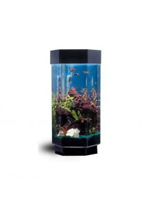 Шестиугольный-AquaScape-аквариум