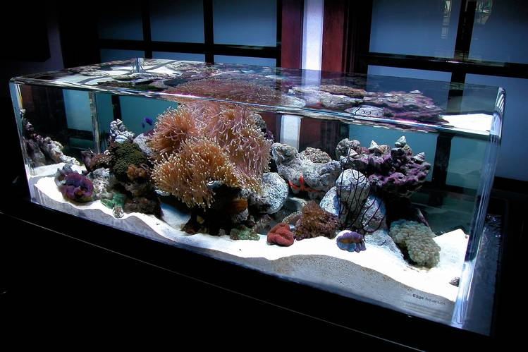Akriliniai akvariumai - jūros lašelis sielos vandenynai